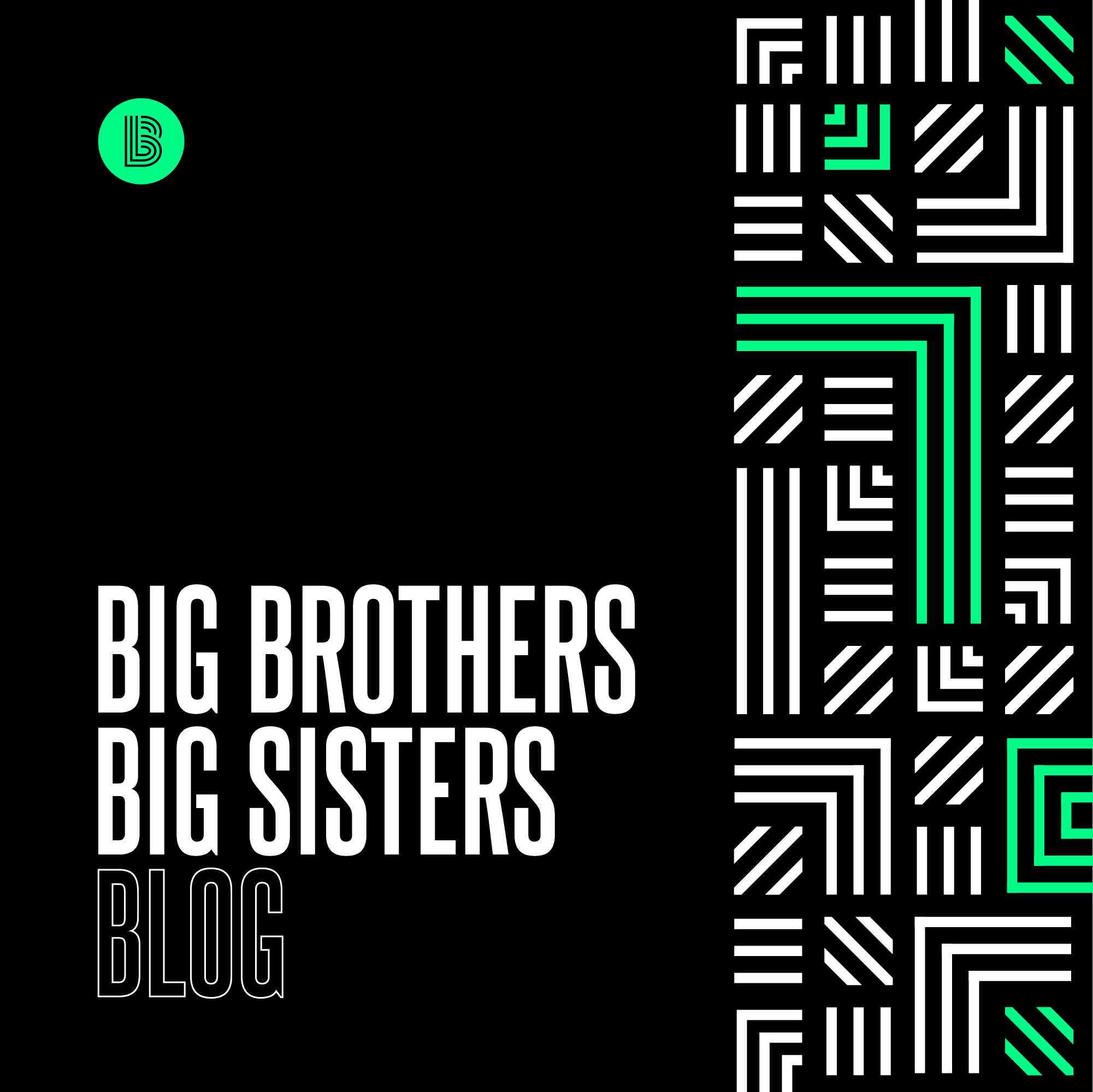 Big Brothers Big Sisters Blog.